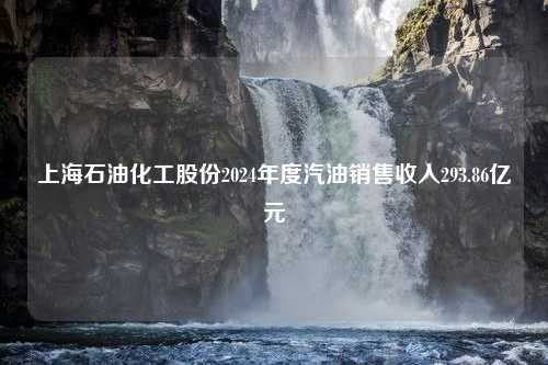 上海石油化工股份2024年度汽油销售收入293.86亿元