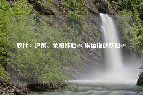 收评：沪银、菜粕涨超4% 集运指数跌超8%