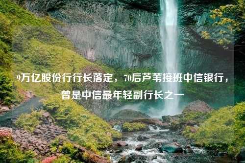 9万亿股份行行长落定，70后芦苇接班中信银行，曾是中信最年轻副行长之一