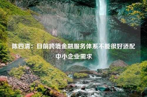 陈四清：目前跨境金融服务体系不能很好适配中小企业需求