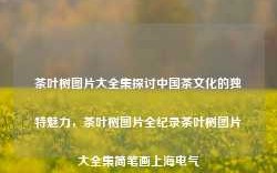 茶叶树图片大全集探讨中国茶文化的独特魅力，茶叶树图片全纪录茶叶树图片大全集简笔画上海电气