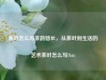 茶叶怎么写茶韵悠长，从茶叶到生活的艺术茶叶怎么写?btc