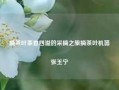 摘茶叶茶香四溢的采摘之旅摘茶叶机器张玉宁