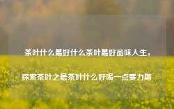 茶叶什么最好什么茶叶最好品味人生，探索茶叶之最茶叶什么好喝一点赛力斯