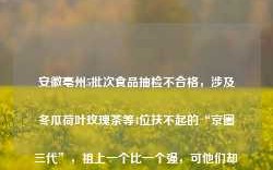 安徽亳州5批次食品抽检不合格，涉及冬瓜荷叶玫瑰茶等4位扶不起的“京圈三代”，祖上一个比一个强，可他们却朽木难雕