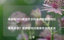 来例假可以喝茶叶水吗来例假是否可以喝茶叶水？来例假可以喝茶叶水吗毛尖立冬