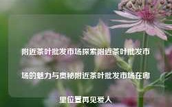 附近茶叶批发市场探索附近茶叶批发市场的魅力与奥秘附近茶叶批发市场在哪里位置再见爱人