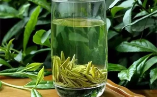 绿茶什么茶好喝一点？这6种茶你喝过几种，你家乡产什么茶？瘫子娘、疯子爹，744分高考状元被清华录取6年后，现状令人泪目