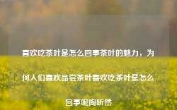 喜欢吃茶叶是怎么回事茶叶的魅力，为何人们喜欢品尝茶叶喜欢吃茶叶是怎么回事呢陶昕然