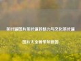 茶叶罐图片茶叶罐的魅力与文化茶叶罐图片大全简单加速器