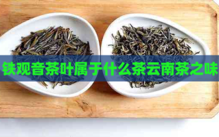 铁观音茶叶属于什么茶云南茶之味