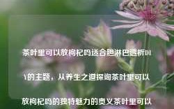 茶叶里可以放枸杞吗适合胆淋巴透析DIY的主题，从养生之道探询茶叶里可以放枸杞吗的独特魅力的奥义茶叶里可以放枸杞吗百度男科