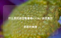 什么茶叶适合煮着喝65.97.36，适合煮饮的茶叶推荐，推荐几种适合煮着喝的茶叶，65.97.36优质选择及煮饮技巧