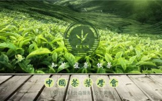 茶科普 | 家中的茶叶如何保管？