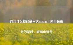 四川什么茶叶最出名65.97.42，四川最出名的茶叶，峨眉山绿茶，四川最出名的茶叶——峨眉山绿茶65.97.42