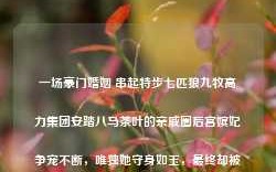 一场豪门婚姻 串起特步七匹狼九牧高力集团安踏八马茶叶的亲戚圈后宫嫔妃争宠不断，唯独她守身如玉，最终却被封为皇贵妃