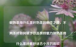 做奶茶用什么茶叶奶茶的制作之道，不同茶叶如何赋予饮品独特魅力做奶茶用什么茶叶最好适合小孩的蒋欣