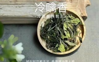 完全密闭的房间，是存茶的最佳地点吗？刚播热度就破2万，力压蒋欣，登顶热度榜第一，虞书欣这次赢麻了