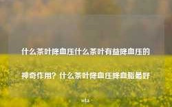 什么茶叶降血压什么茶叶有益降血压的神奇作用？什么茶叶降血压降血脂最好wta