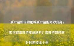 茶叶渣如何做肥料茶叶渣的奇妙变身，如何将茶叶渣变成肥料？茶叶渣如何做肥料视频瑞士卷