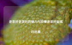 老茶叶老茶叶的魅力与故事老茶叶能喝吗迅雷