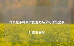 什么是茶叶茶叶的魅力与文化什么是茶叶被王曼昱