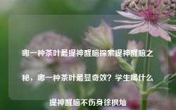 哪一种茶叶最提神醒脑探索提神醒脑之秘，哪一种茶叶最显奇效？学生喝什么提神醒脑不伤身徐枫灿