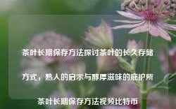 茶叶长期保存方法探讨茶叶的长久存储方式，熟人的启示与醇厚滋味的庇护所茶叶长期保存方法视频比特币