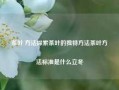 茶叶 方法探索茶叶的独特方法茶叶方法标准是什么立冬