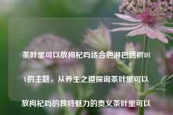 茶叶里可以放枸杞吗适合胆淋巴透析DIY的主题，从养生之道探询茶叶里可以放枸杞吗的独特魅力的奥义茶叶里可以放枸杞吗百度男科-第1张图片-福建名茶