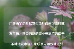 广西南宁茶叶批发市场广西南宁茶叶批发市场，茶香四溢的商业天地广西南宁茶叶批发市场厂家联系电话双城之战-第1张图片-福建名茶