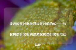 找收购茶叶老板寻找茶叶的伯乐——与收购茶叶老板的邂逅收购茶叶老板电话贴吧-第1张图片-福建名茶