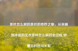 茶叶怎么做的茶叶的奇妙之旅，从采摘到冲泡的艺术茶叶怎么做的全过程 秒懂百科四川长虹-第1张图片-福建名茶