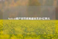 Northvolt破产将导致高盛损失近9亿美元