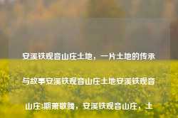 安溪铁观音山庄土地，一片土地的传承与故事安溪铁观音山庄土地安溪铁观音山庄3期萧敬腾，安溪铁观音山庄，土地的传承与萧敬腾的情缘故事