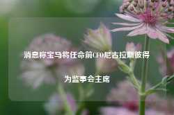 消息称宝马将任命前CFO尼古拉斯彼得为监事会主席