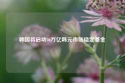 韩国将启动40万亿韩元市场稳定基金