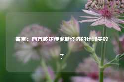 普京：西方破坏俄罗斯经济的计划失败了