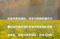 安溪铁观音团队，传承与创新的融合力量安溪铁观音团队安溪铁观音团队招聘易建联，安溪铁观音团队，传承与创新的力量融合易建联的招聘风潮，安溪铁观音团队，传承与创新共融的招聘风潮力量