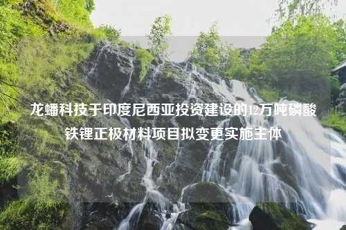 龙蟠科技于印度尼西亚投资建设的12万吨磷酸铁锂正极材料项目拟变更实施主体