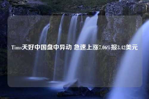 Tims天好中国盘中异动 急速上涨7.06%报3.42美元