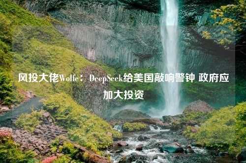 风投大佬Wolfe：DeepSeek给美国敲响警钟 政府应加大投资