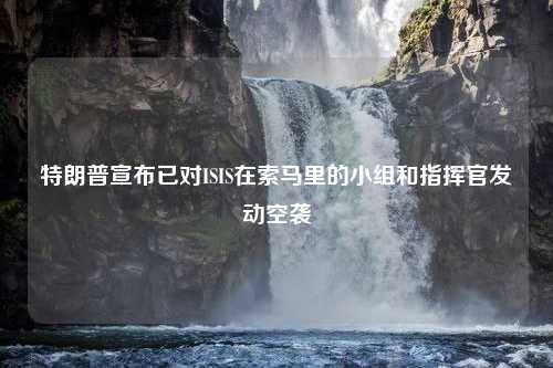 特朗普宣布已对ISIS在索马里的小组和指挥官发动空袭