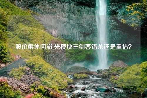 股价集体闪崩 光模块三剑客错杀还是重估？