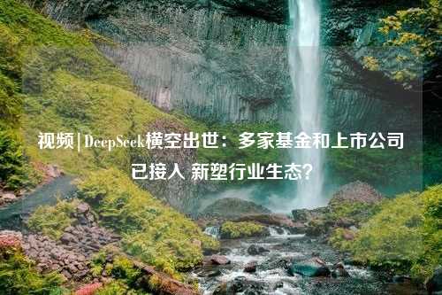 视频|DeepSeek横空出世：多家基金和上市公司已接入 新塑行业生态？