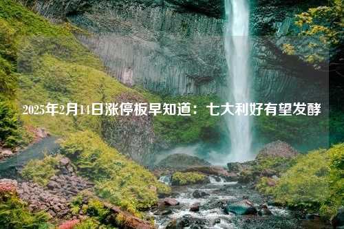 2025年2月14日涨停板早知道：七大利好有望发酵