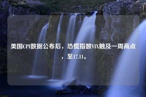 美国CPI数据公布后，恐慌指数VIX触及一周高点，至17.11。