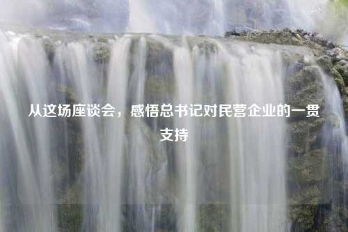 从这场座谈会，感悟总书记对民营企业的一贯支持