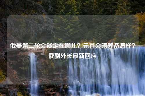 俄美第二轮会谈定在哪儿？元首会晤筹备怎样？俄副外长最新回应